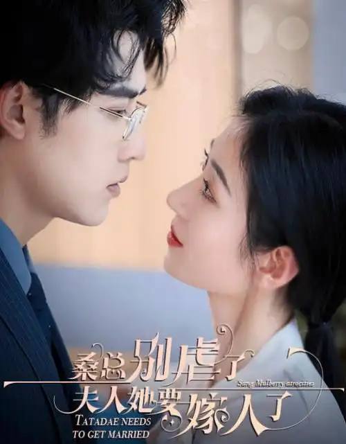 电视剧《锦绣未央·续》海报